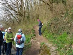 03_004_Nideggen_180405-1000620 03_004_Nideggen_180405-1000620